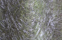 Treskerby fibreglass roof work