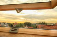 rated Treskerby roof window companies